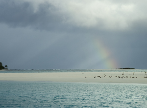 Nature's Response - Rainbow II