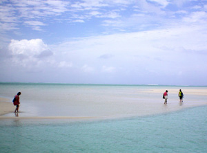 Boat Trip