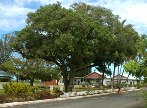 Aitutaki - Town Centre